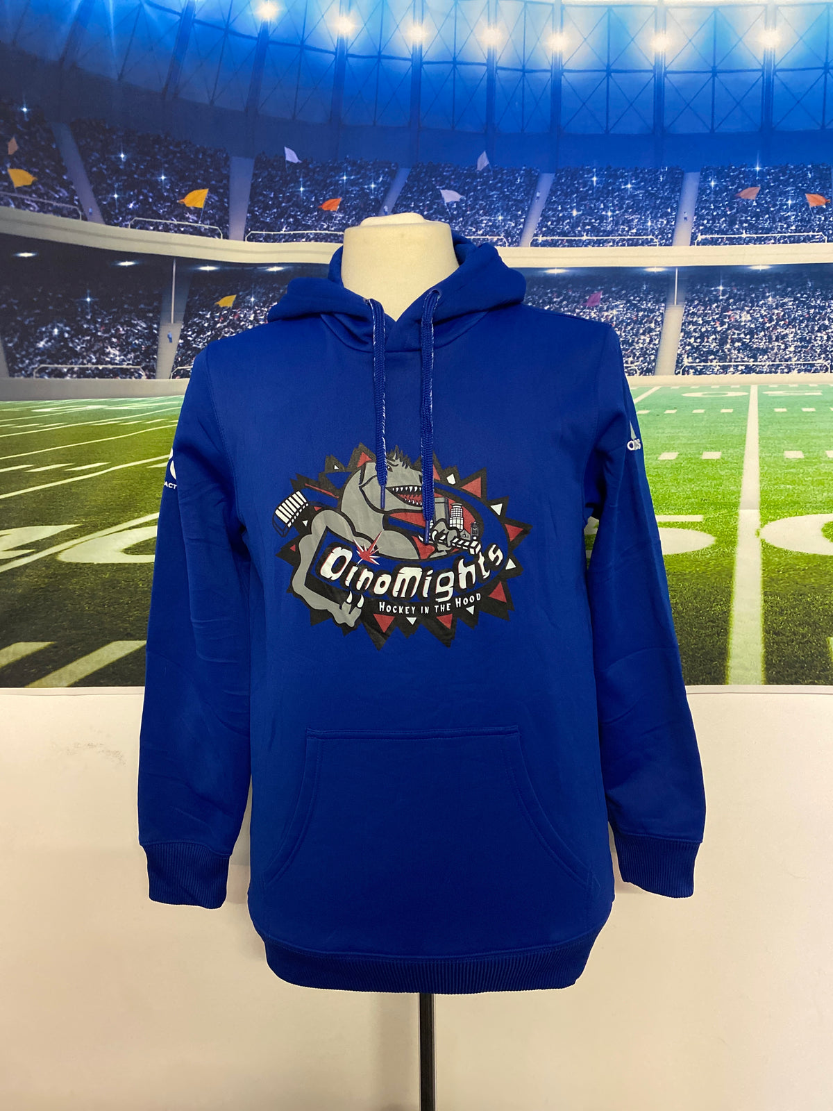 DinoMights Hockey Hoodie